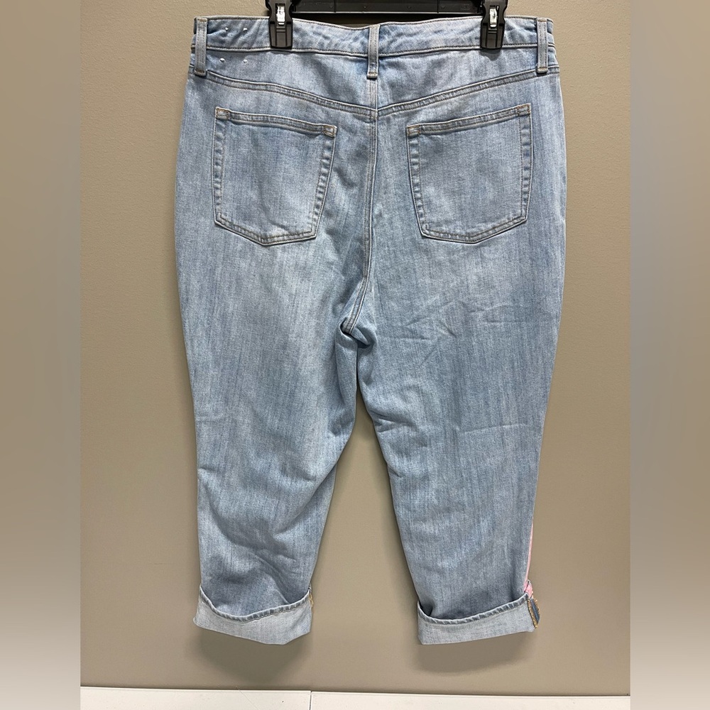 Talbots Light Blue Jeans with Pink Stripes - Picture 5 of 8